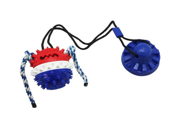 №1  Игрушка интерактивная для собак Тяни-Кусай,  на одной присоске, 71см, сине-красный шипованый мяч