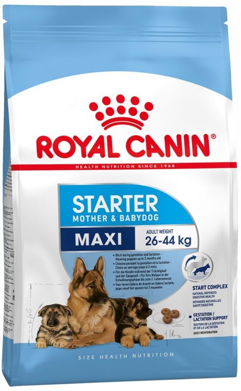 Royal Canin Maxi Starter для щенков крупных пород 3 нед-2 мес, беременных и кормящих сук
