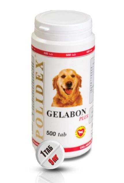 Polidex Gelabon Plus - профилактика и лечение заболеваний опорно-двигательного аппарата