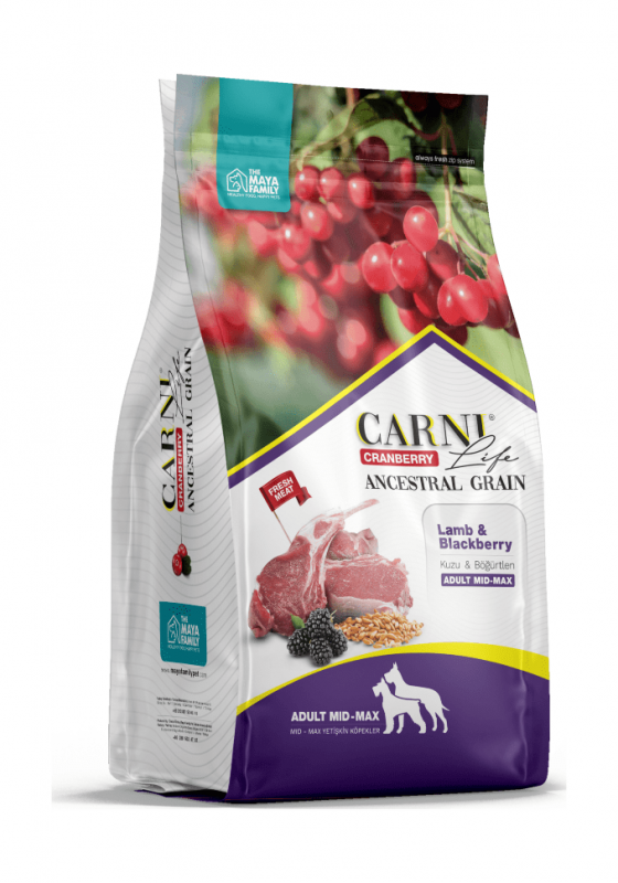 Carni Life Medium Maxi - Сухой корм для собак средних и крупных пород - Ягненок с ежевикой и клюквой
