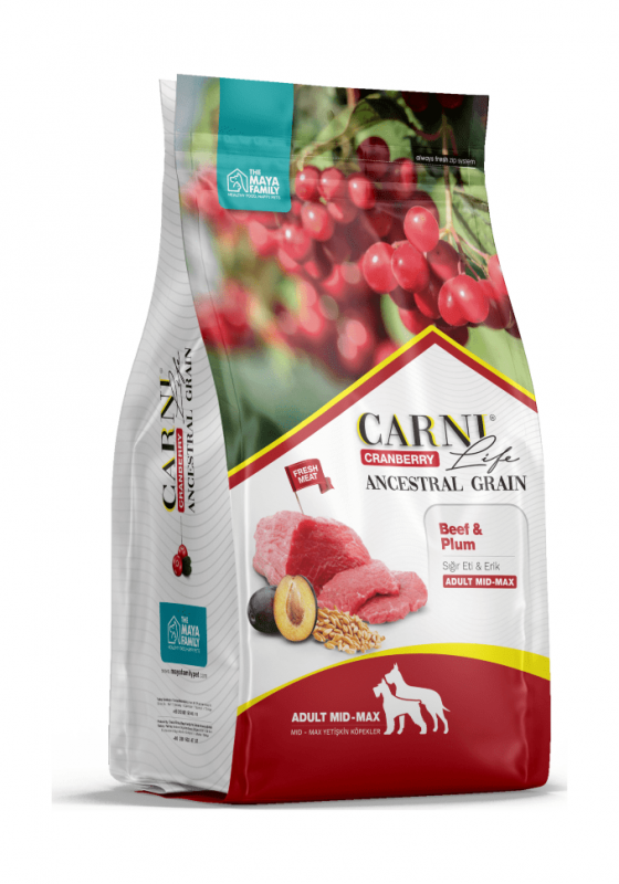 Carni Life Medium Maxi - Сухой корм для собак средних и крупных пород - Говядина с черносливом и клюквой