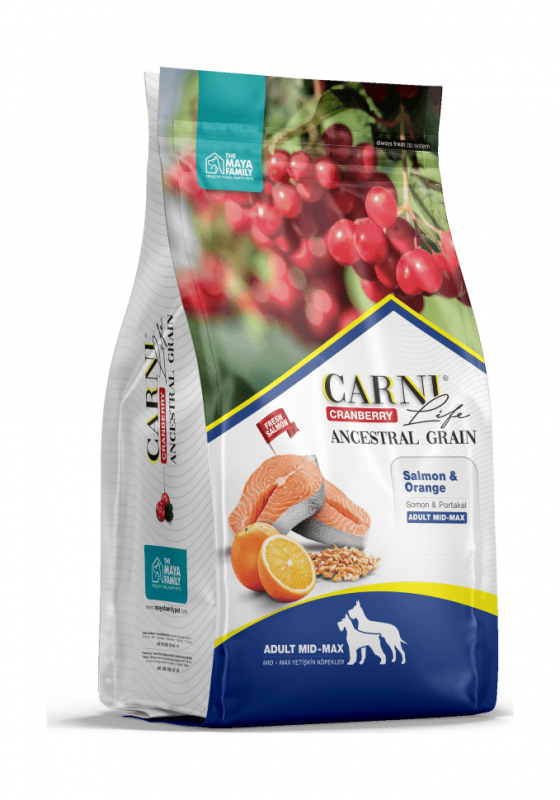 Carni Life Medium Maxi - Сухой корм для собак средних и крупных пород - Лосось с апельсином и клюквой