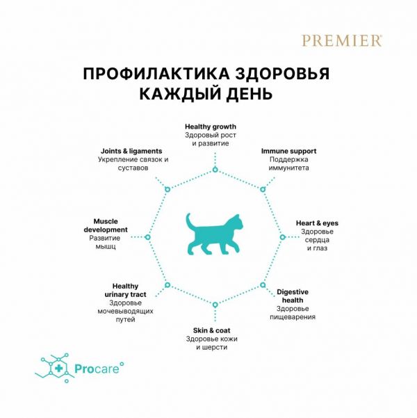 Premier Cat Kitten - Сухой корм для котят от 3 недель, беременных и кормящих кошек, с Индейкой