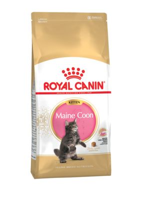 Royal Canin Kitten Мaine Coon  Сухой корм для котят породы Мейн-кун