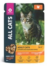 All Cats - пауч с тефтельками из индейки в соусе для кошек