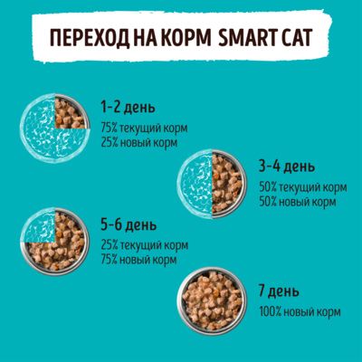 Smart Cat набор паучей 5+1 для взрослых кошек и котят: кусочки лосося в нежном соусе