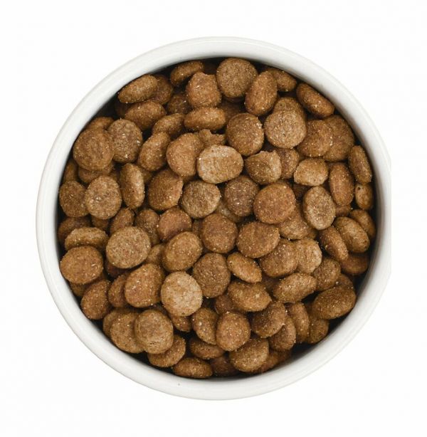 ULTRA - сухой корм для взроcлых собак всех пород с говядиной