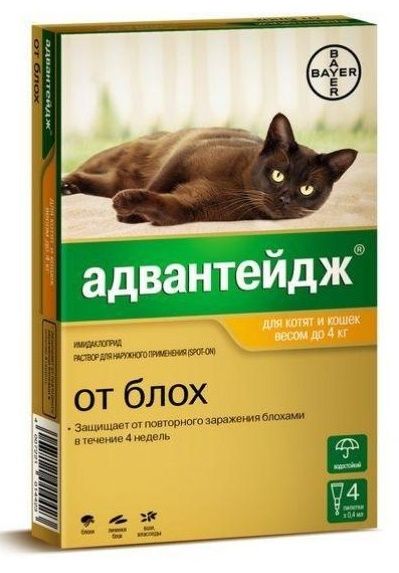 Bayer «Адвантейдж» капли от блох для котят и кошек