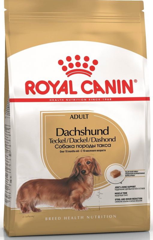 Royal Canin Dachshund Adult для взрослой Таксы с 10 месяцев